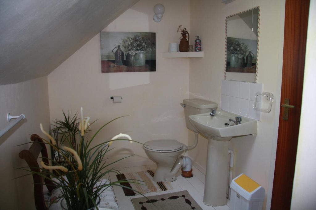 The Old School House B&B Ballinskelligs Room photo